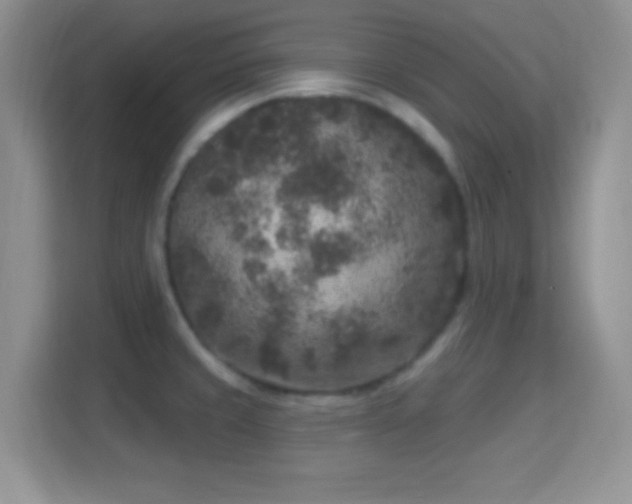 X0000114441429200910231309