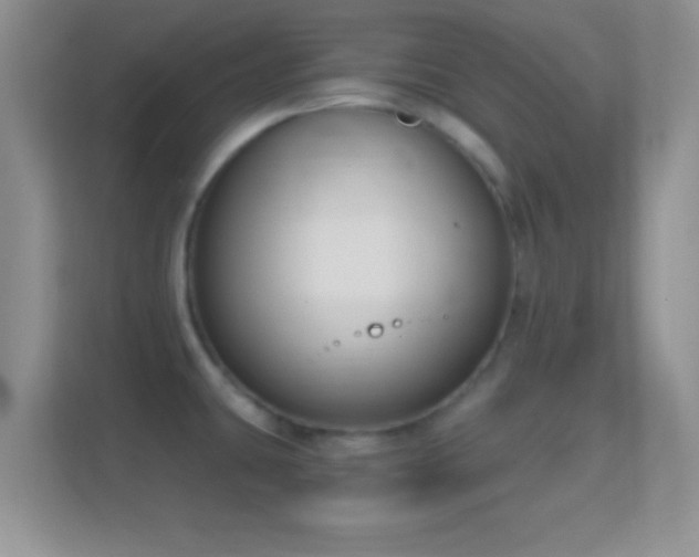 X0000114441431200910231309