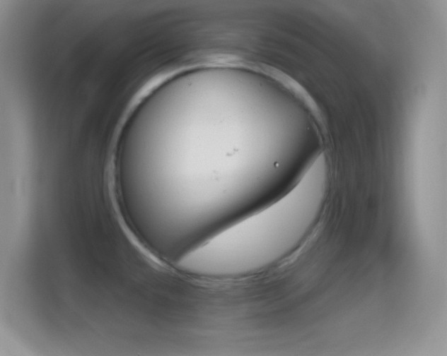 X0000114441432200910231309