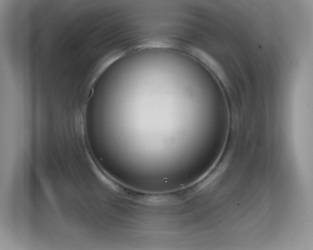 X0000114441433200910231309