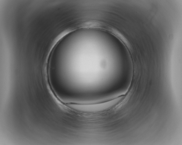 X0000114441434200910231309