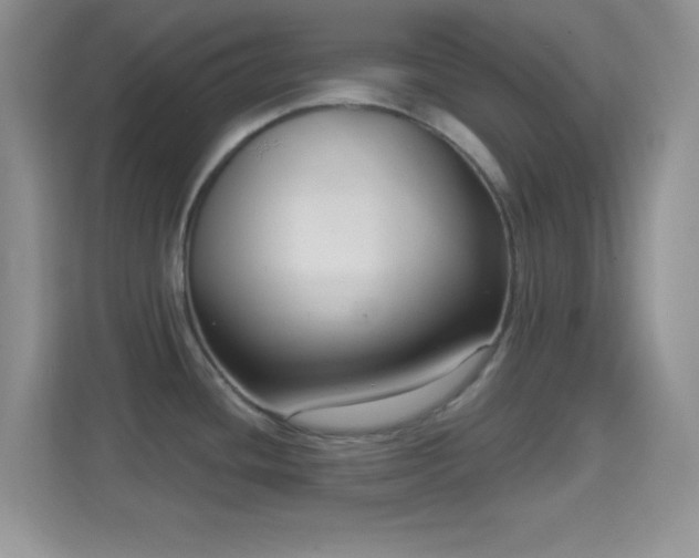 X0000114441436200910231309