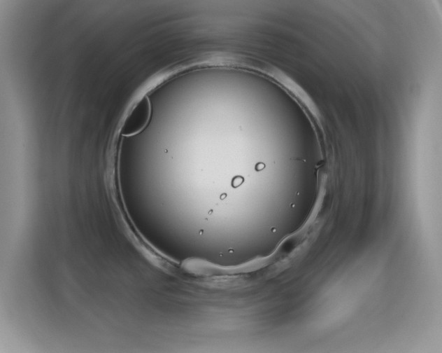 X0000114441437200910231309