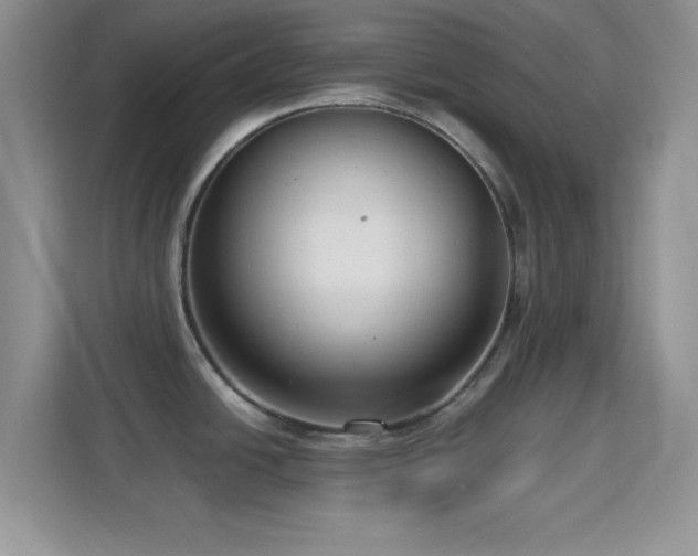 X0000114441438200910231309