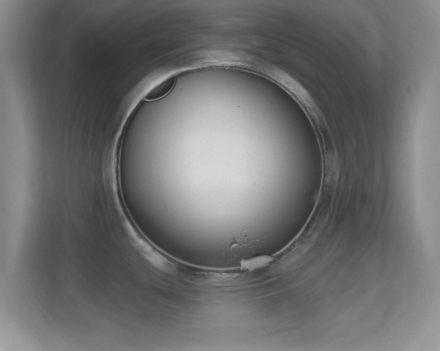 X0000114441439200910231309