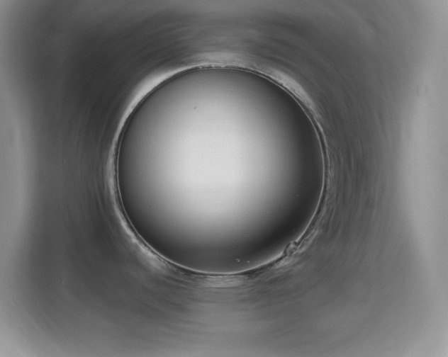 X0000114441440200910231309