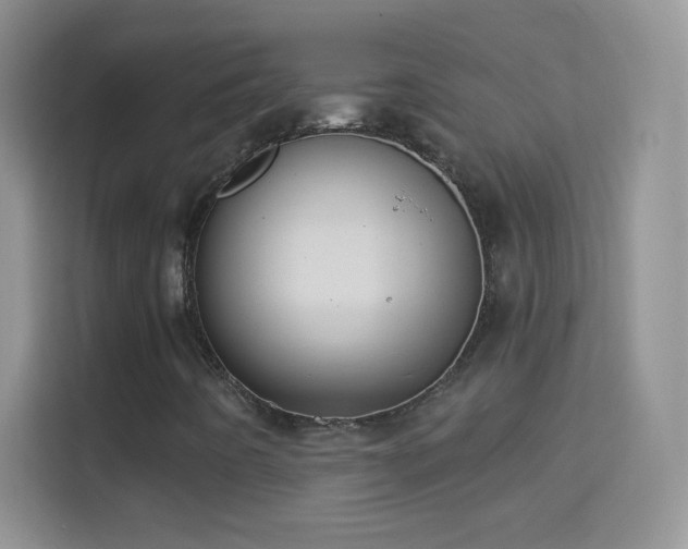 X0000114441442200910231309