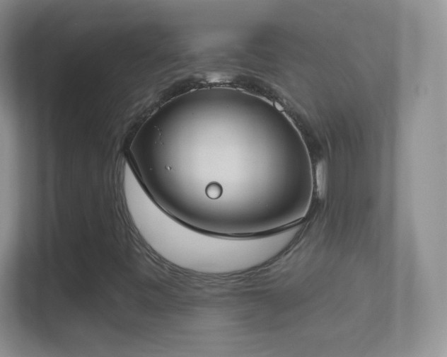 X0000114441443200910231309