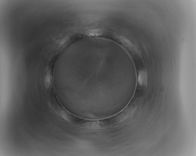 X0000114441444200910231309