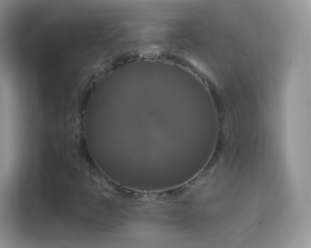 X0000114441445200910231309