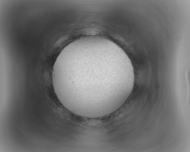 X0000114441446200910231309