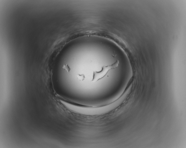 X0000114441447200910231309