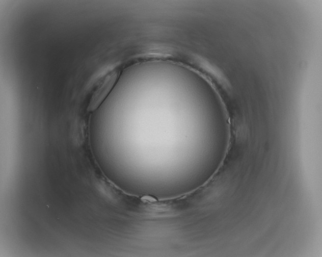 X0000114441448200910231309