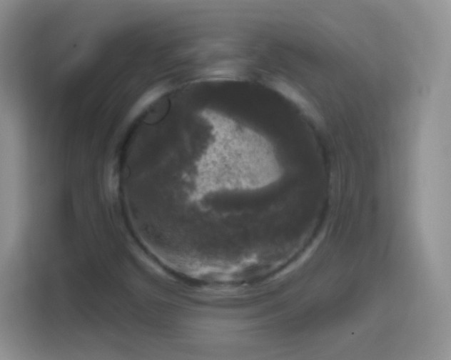 X0000114441450200910231309