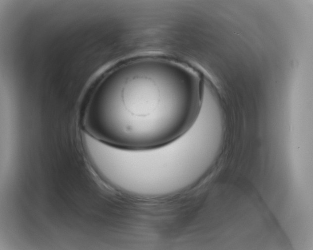 X0000114441452200910231309