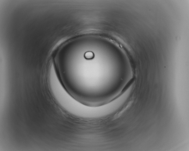 X0000114441453200910231309