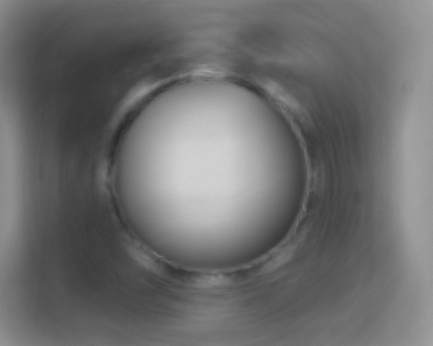 X0000114441454200910231308