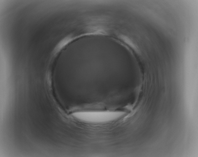 X0000114441455200910231308