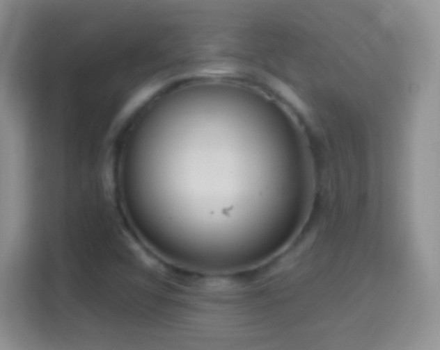 X0000114441456200910231308