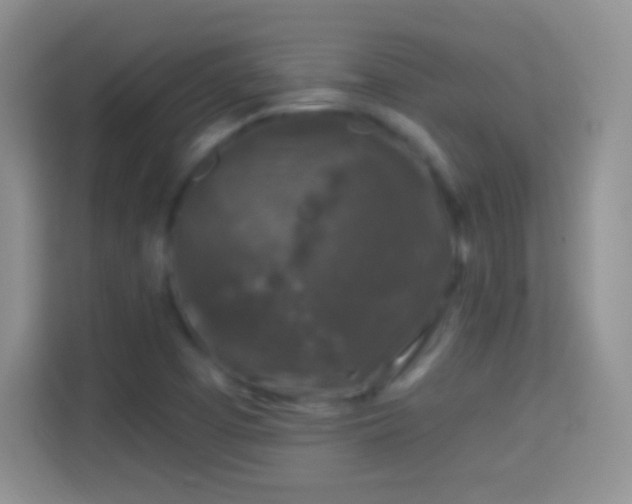 X0000114441457200910231308