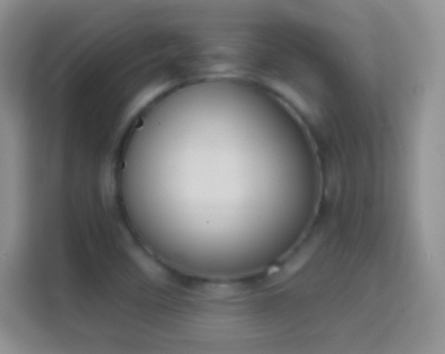 X0000114441458200910231308