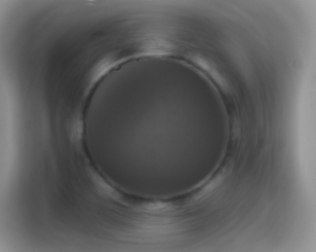 X0000114441459200910231308