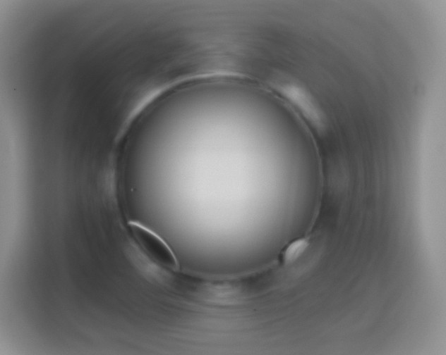 X0000114441460200910231308