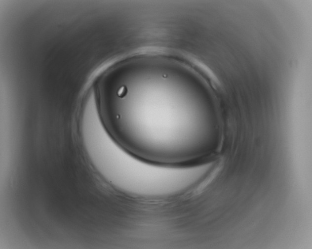 X0000114441461200910231308