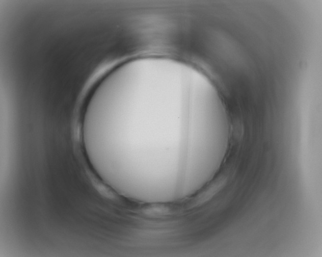 X0000114441462200910231308