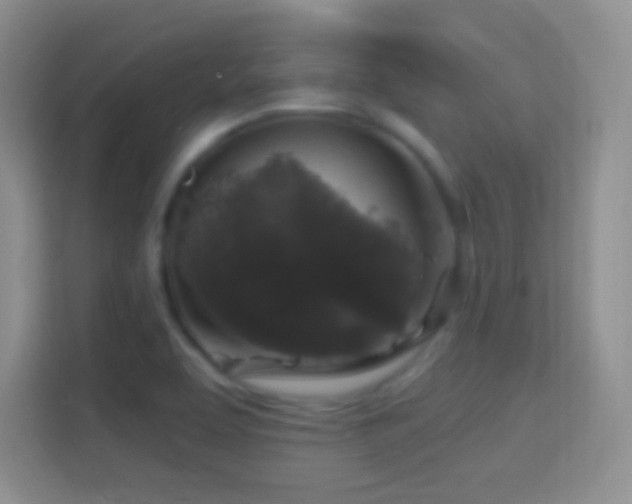 X0000114441463200910231308