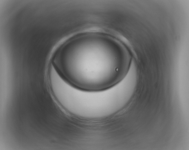 X0000114441464200910231308