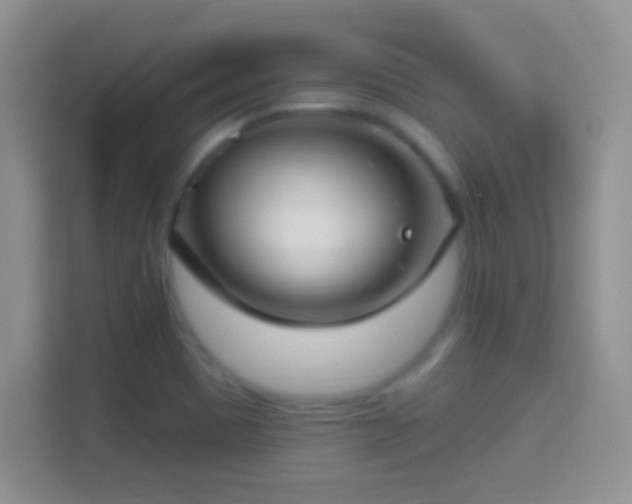 X0000114441465200910231308
