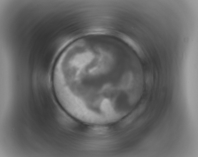 X0000114441466200910231308