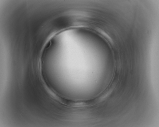 X0000114441467200910231308