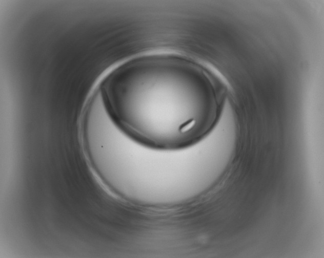 X0000114441468200910231308