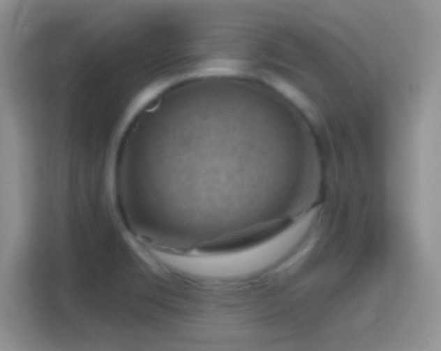 X0000114441469200910231308