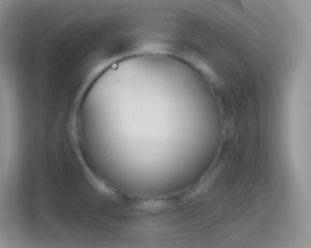 X0000114441470200910231308