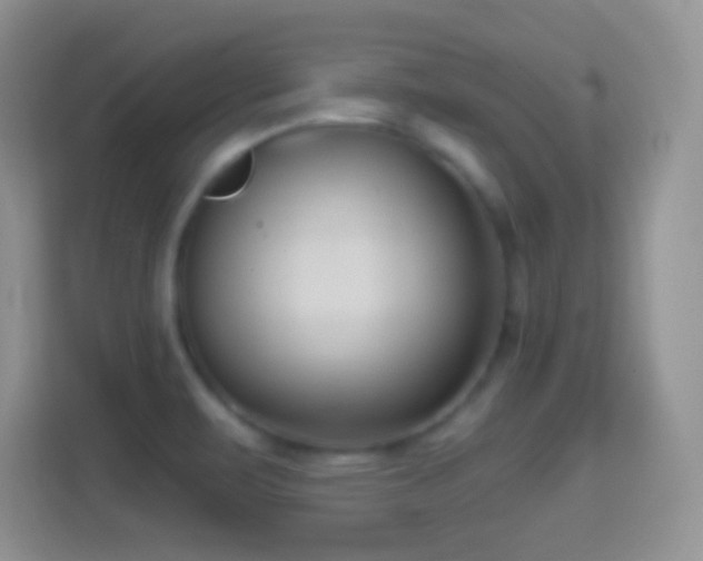 X0000114441471200910231308