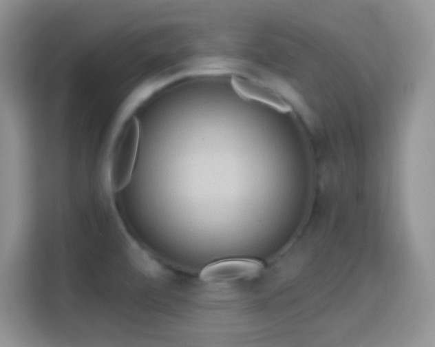 X0000114441472200910231308