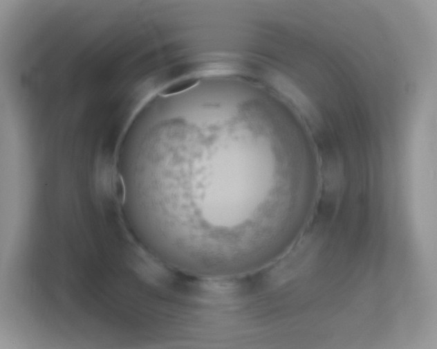 X0000114441473200910231308