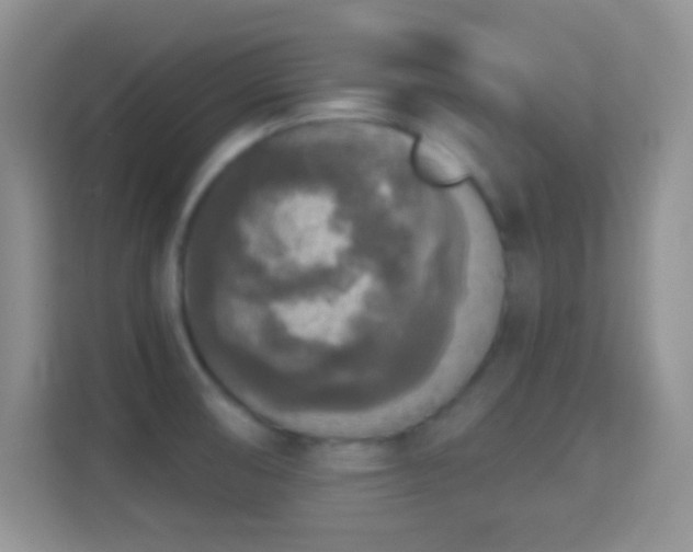 X0000114441474200910231308