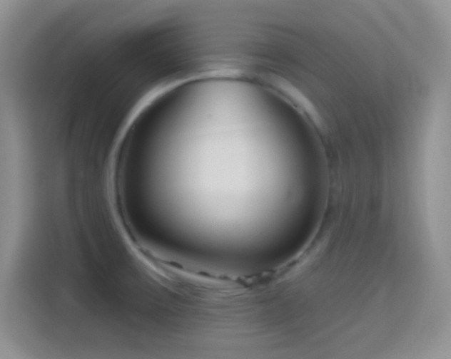 X0000114441475200910231308