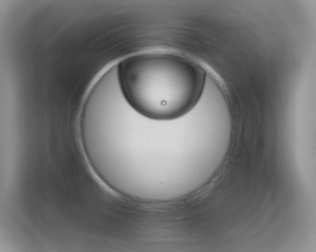 X0000114441476200910231308