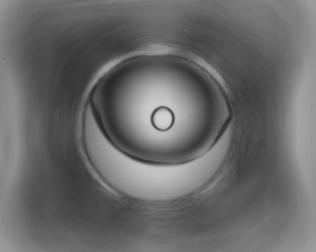 X0000114441477200910231308