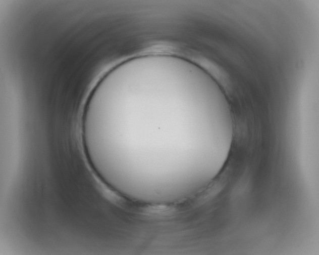 X0000114441478200910231308