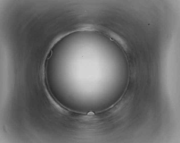 X0000114441479200910231308
