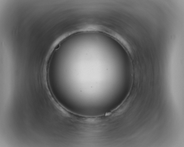 X0000114441480200910231308