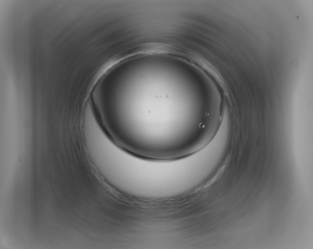 X0000114441481200910231308