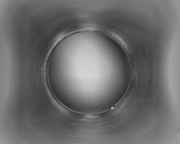 X0000114441483200910231308