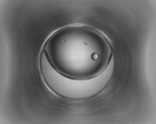 X0000114441484200910231308